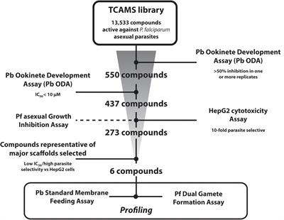 Fueling Open Innovation for Malaria Transmission-Blocking Drugs: Hundreds of Molecules Targeting Early Parasite Mosquito Stages